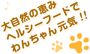 大自然の恵み ヘルシーフードでわんちゃん元気！！