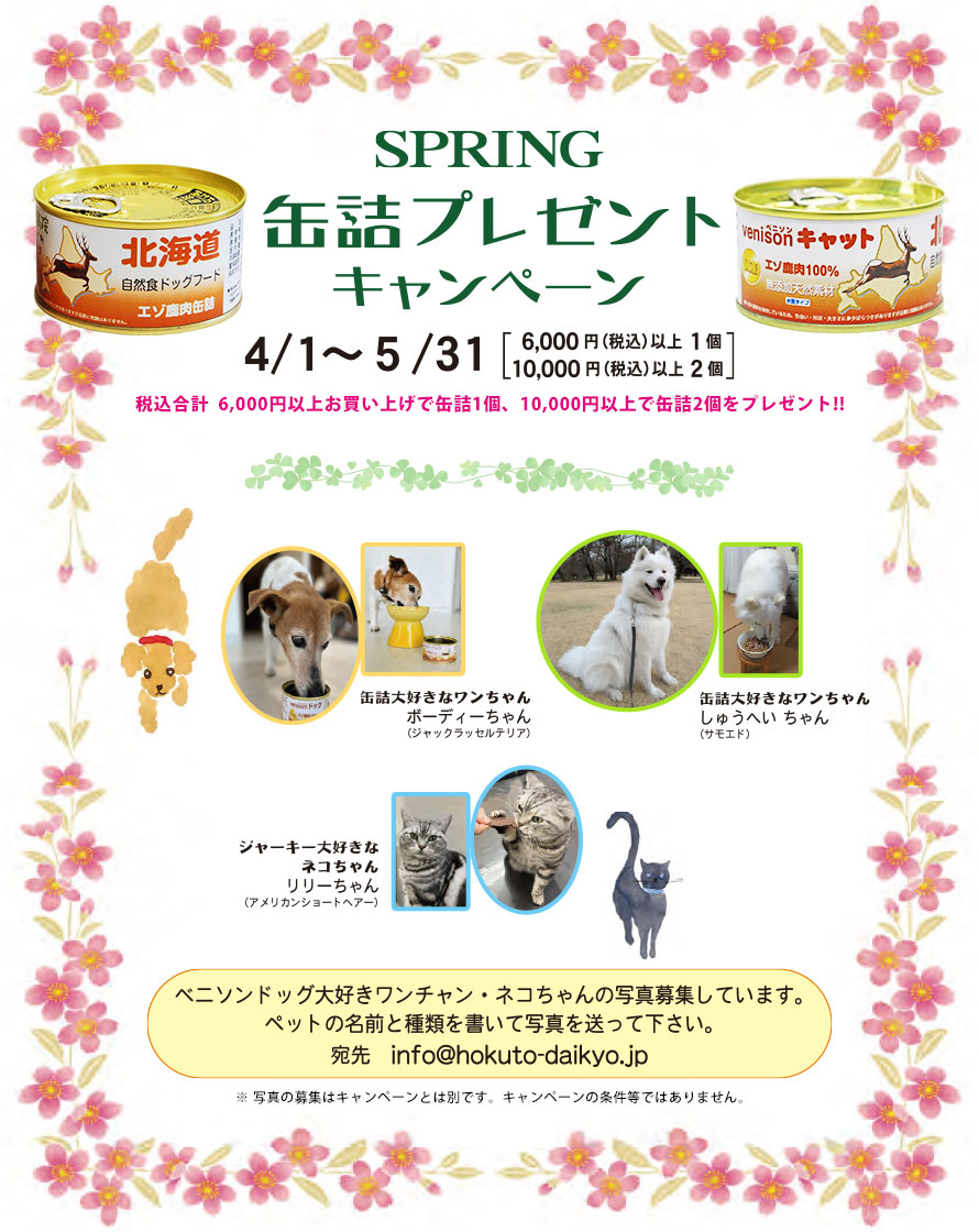 スプリング缶詰プレゼントキャンペーン、4月1日から5月31日まで。税込合計6千円以上お買い上げで缶詰1個、1万円以上で缶詰2個をプレゼント。さらに、ベニソンドッグ大好きワンちゃん、ネコちゃんの写真を募集しています。写真募集はキャンペーンの条件等ではありません。